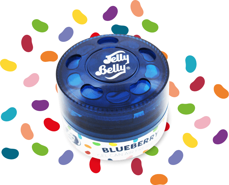 Blueberry Gel Can